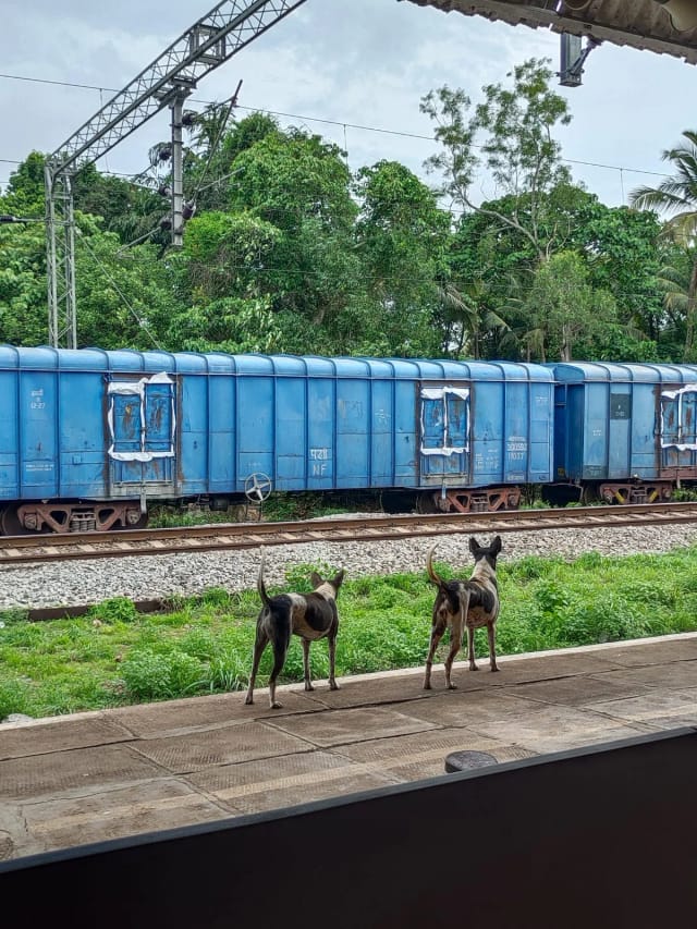 Photography - Mulki Station, Karnataka